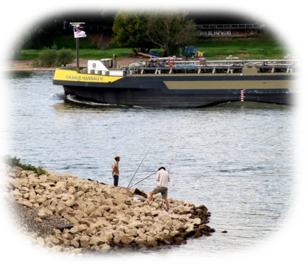 Auf einer Buhne am Rhein. Angeln zwischen den Buhnen